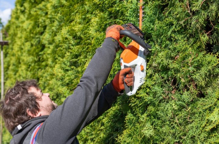 Is It Legal for My Neighbour to Cut My Hedge Without Asking?