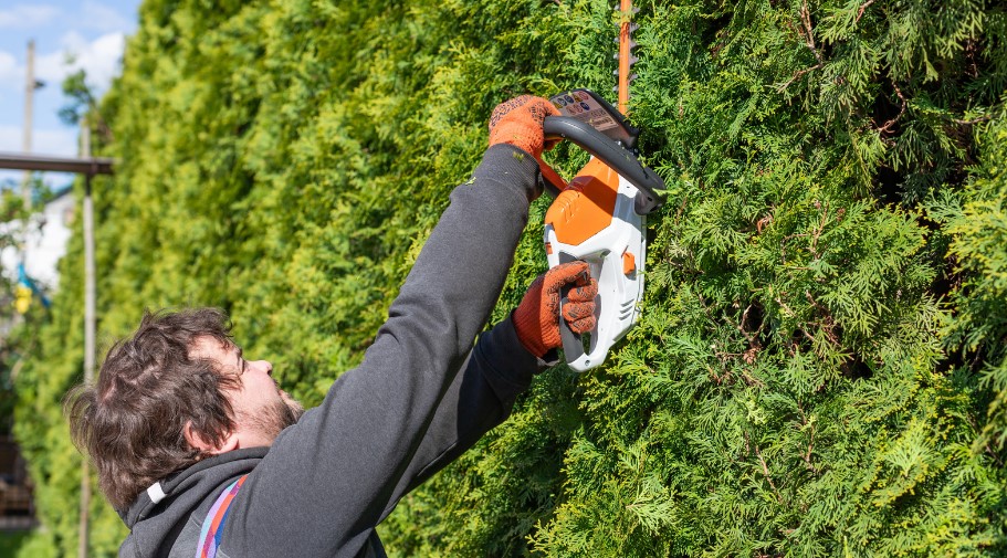 Is It Legal for My Neighbour to Cut My Hedge Without Asking?