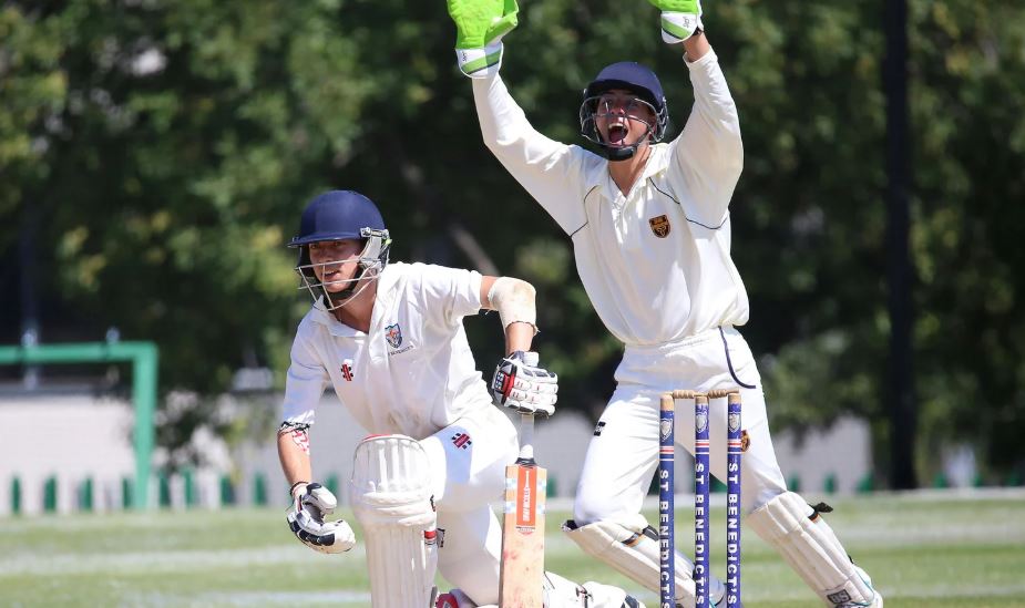 How Do Rule Changes Shape the Future of Sports?